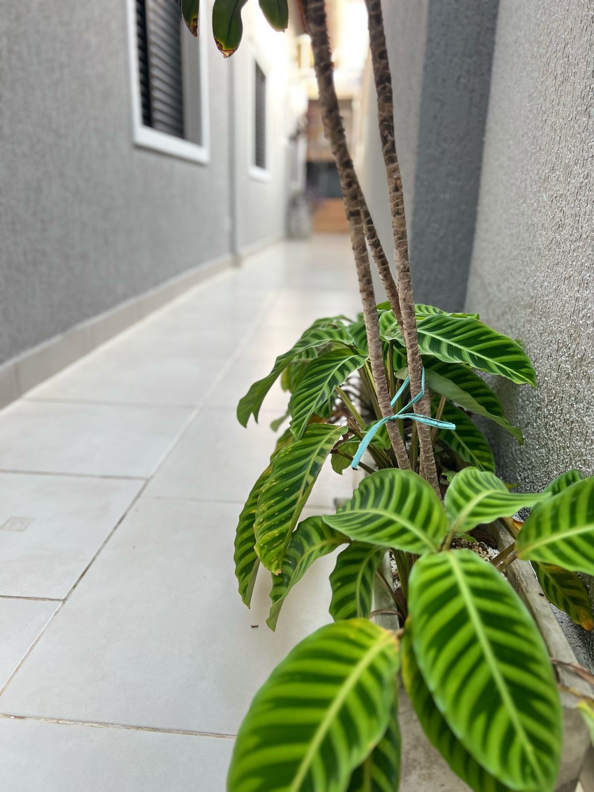 Casa Alto Padrão 03 Dormitórios 02 Suítes 02 Vagas, 115m2 Área Útil – Vila Caiçara